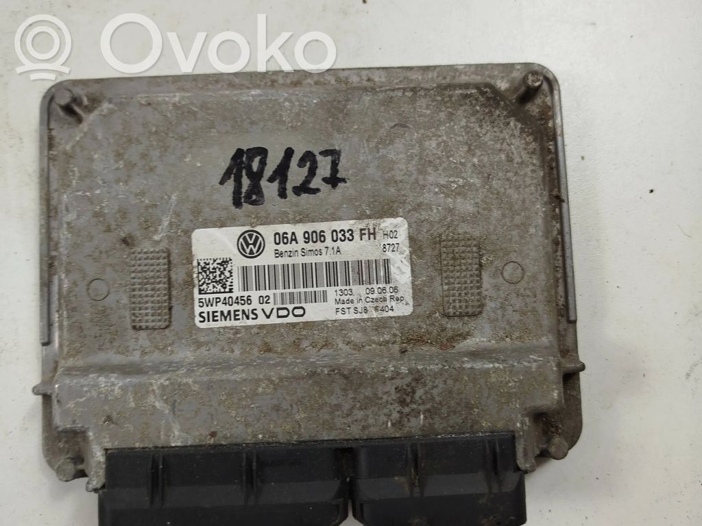 Seat Altea Engine control unit/module 