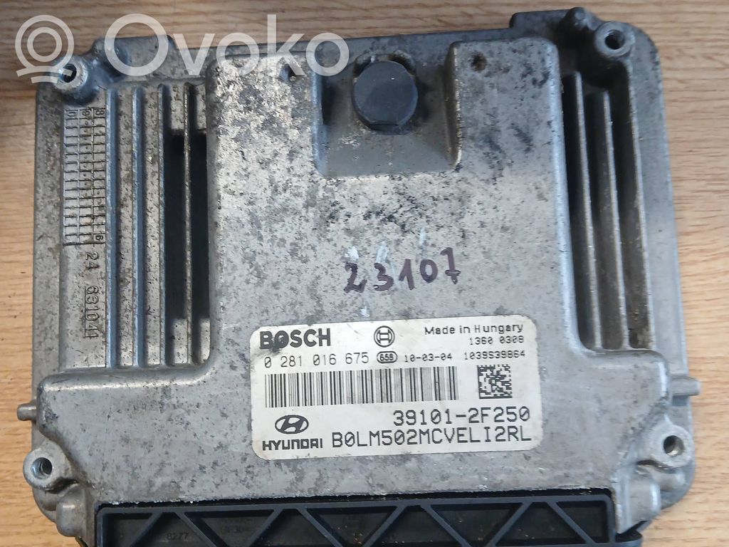 Engine control unit/module   0281016675,391012F250,391012F250