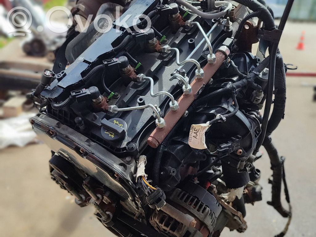 Ford Transit Motor 