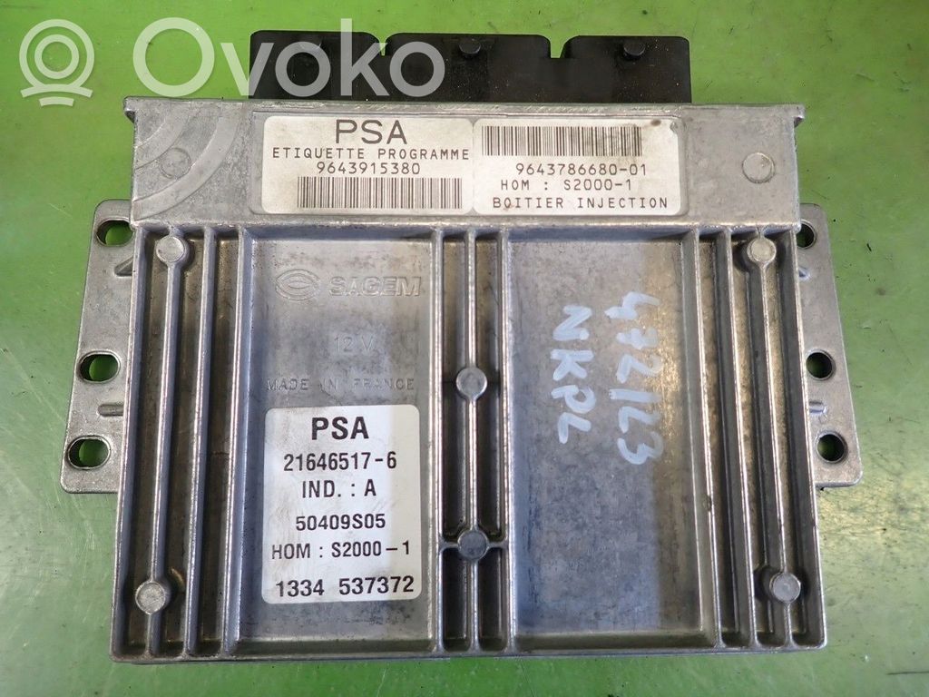 Engine control unit/module ECU   964391538050409S05