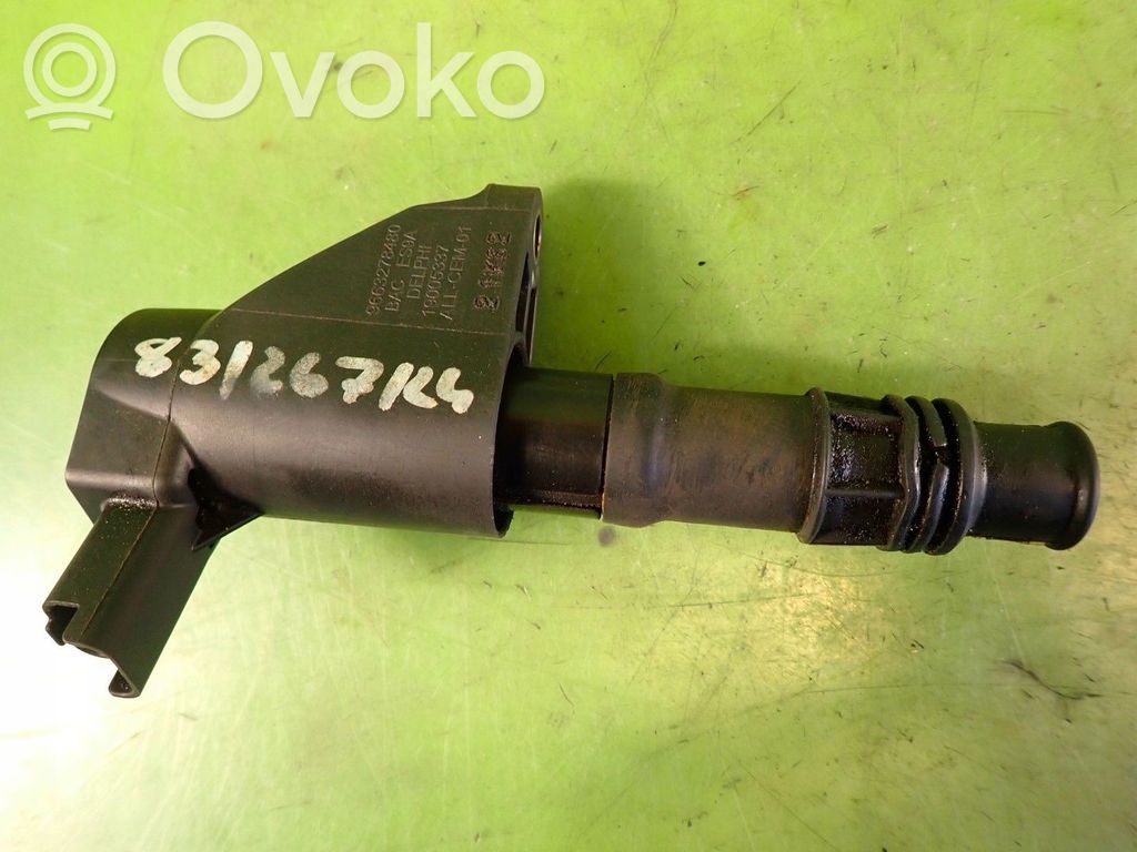 Peugeot 607 Aukštos įtampos ritė "babyna" 