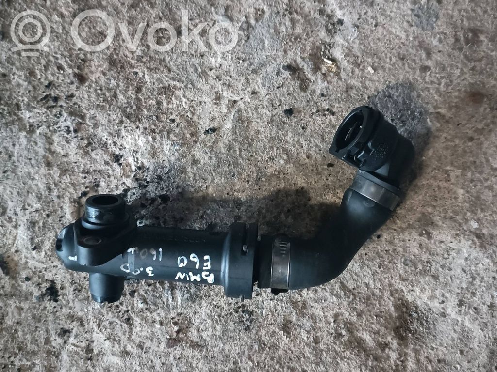 EGR termostatas