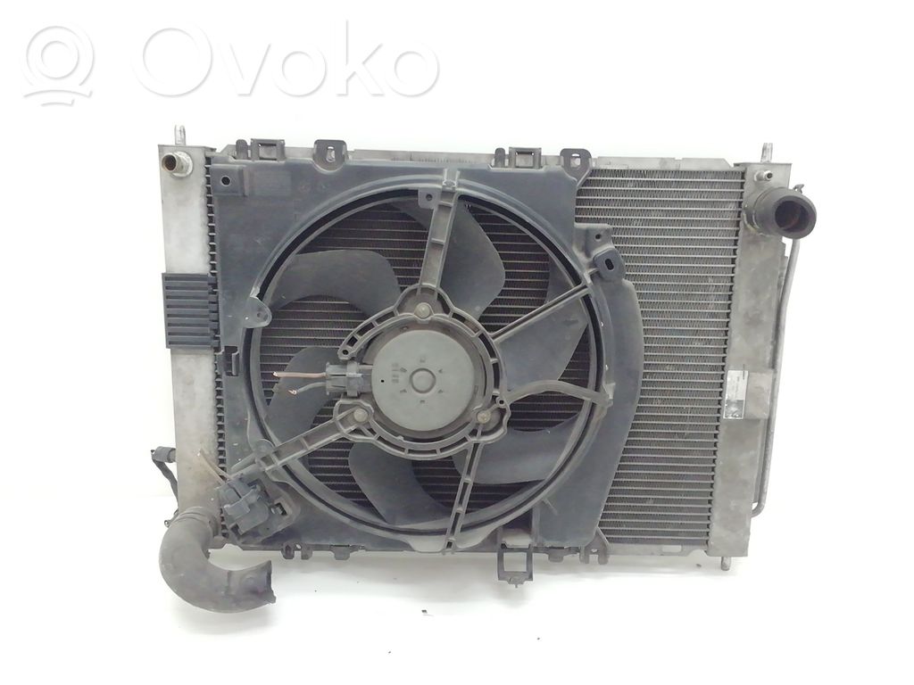 Kit Radiateur   8200149953,8200149953,D4FD7