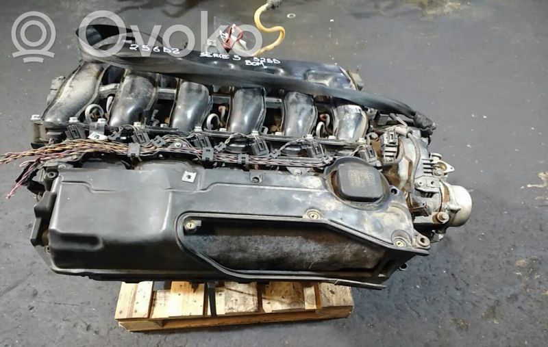Motor   M57D25,256D2