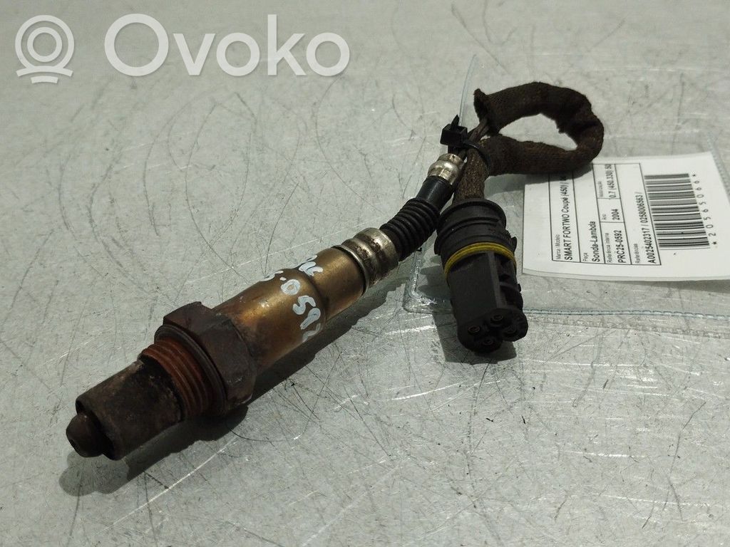 Зонд «Lambda»   A0025402317,0258006563