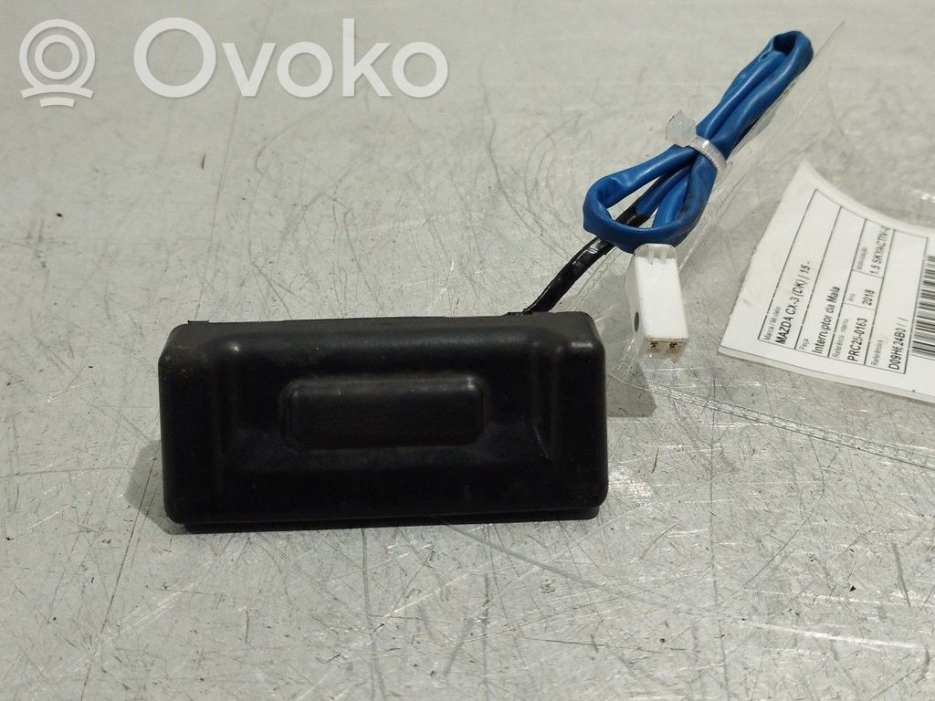 Loading door interior handle   D09H624B0