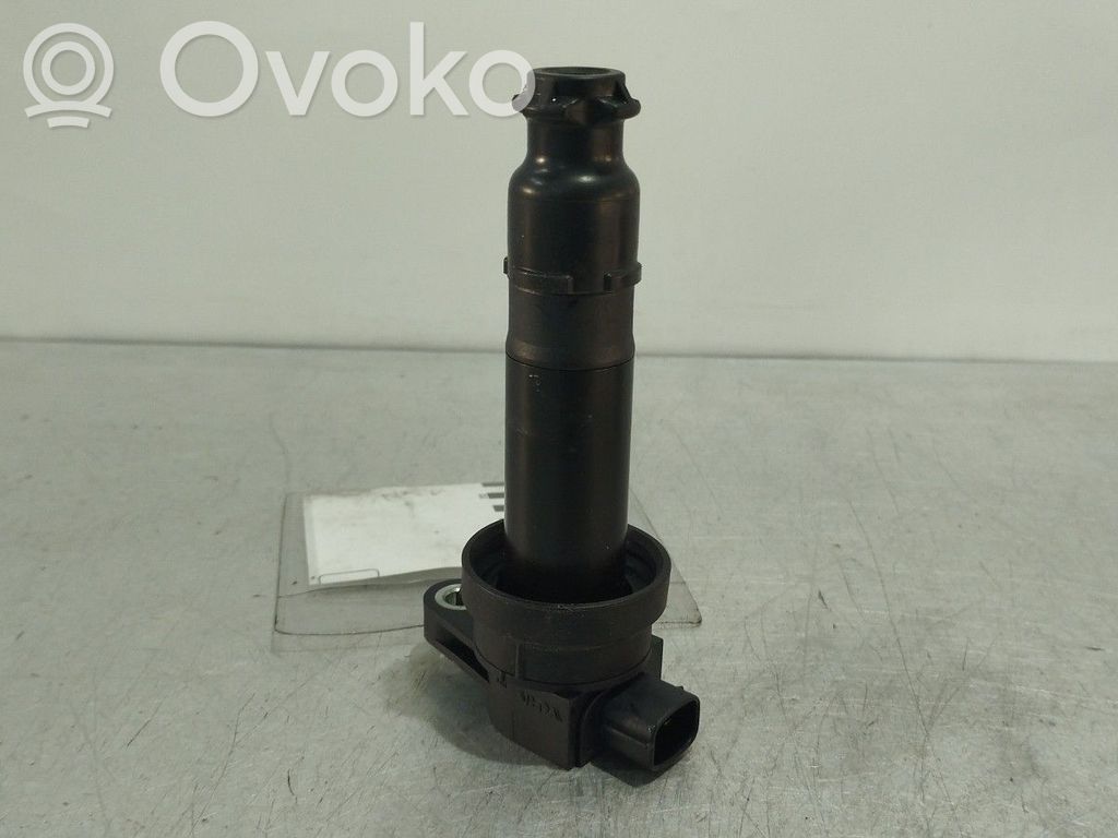 Zündspule Zündmodul   273012B000