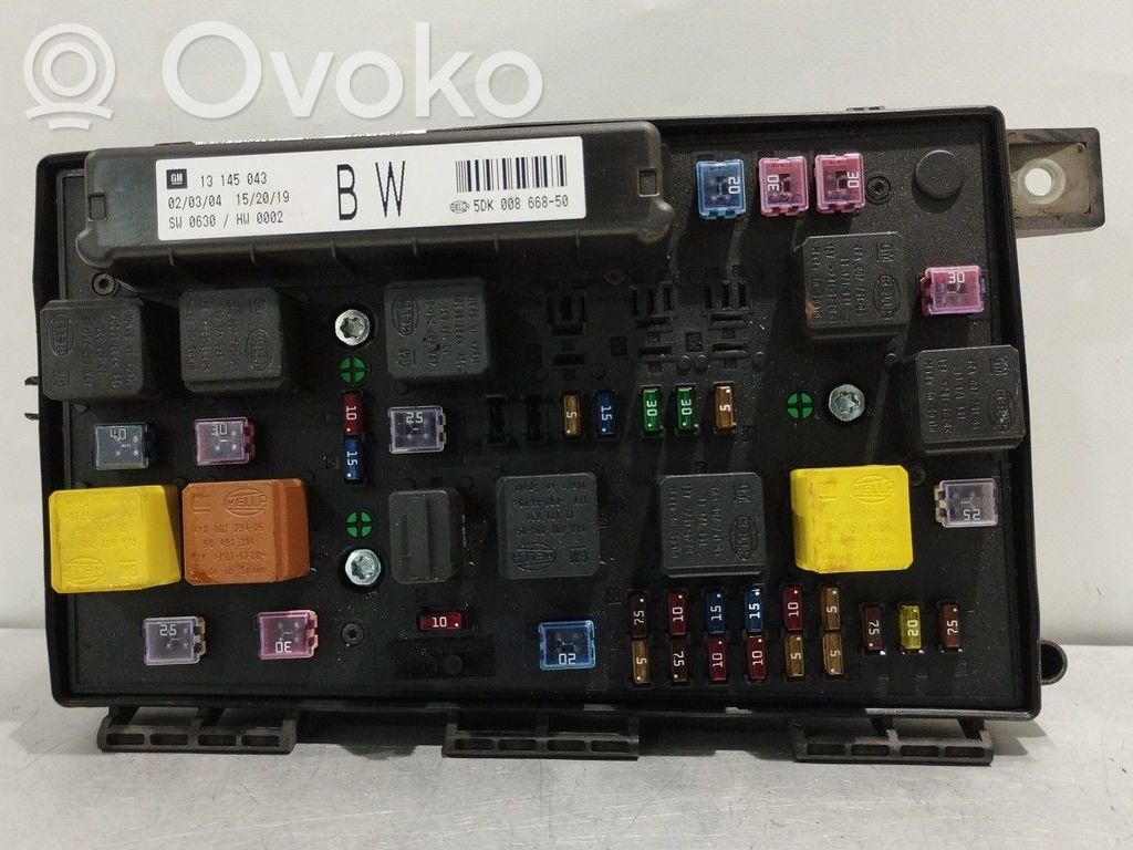 SAM control unit   13145043,5DK00866850,BW