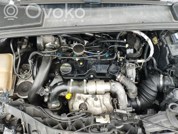 Ford Focus Motor 