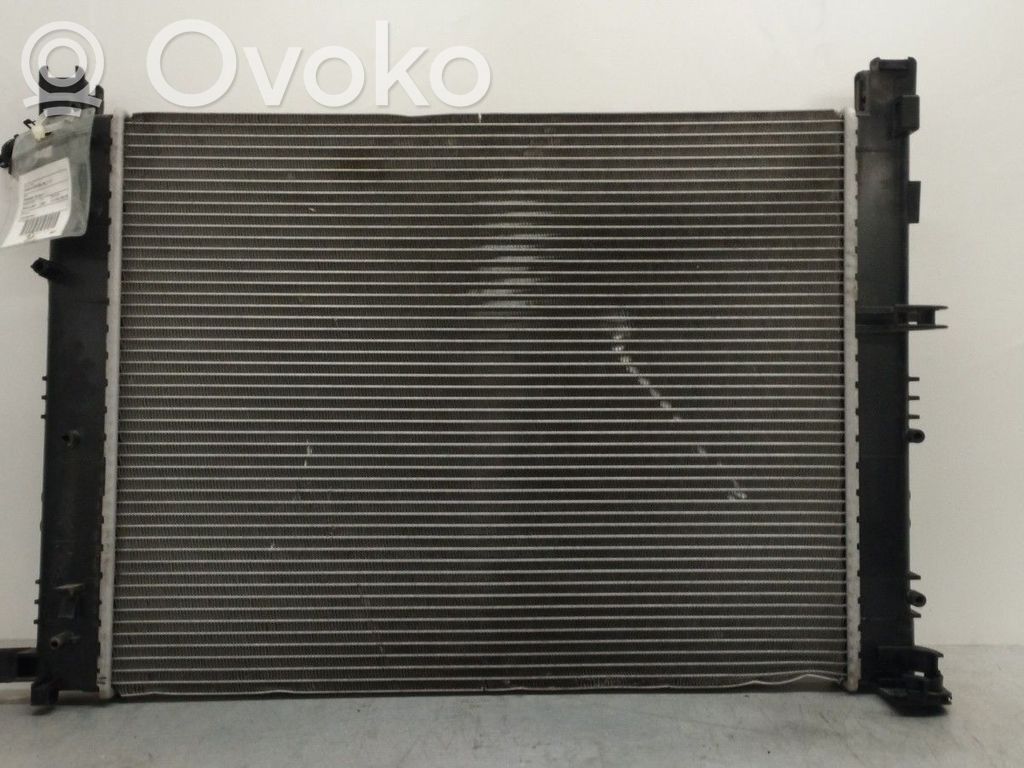 Wasserkühler   214100078R