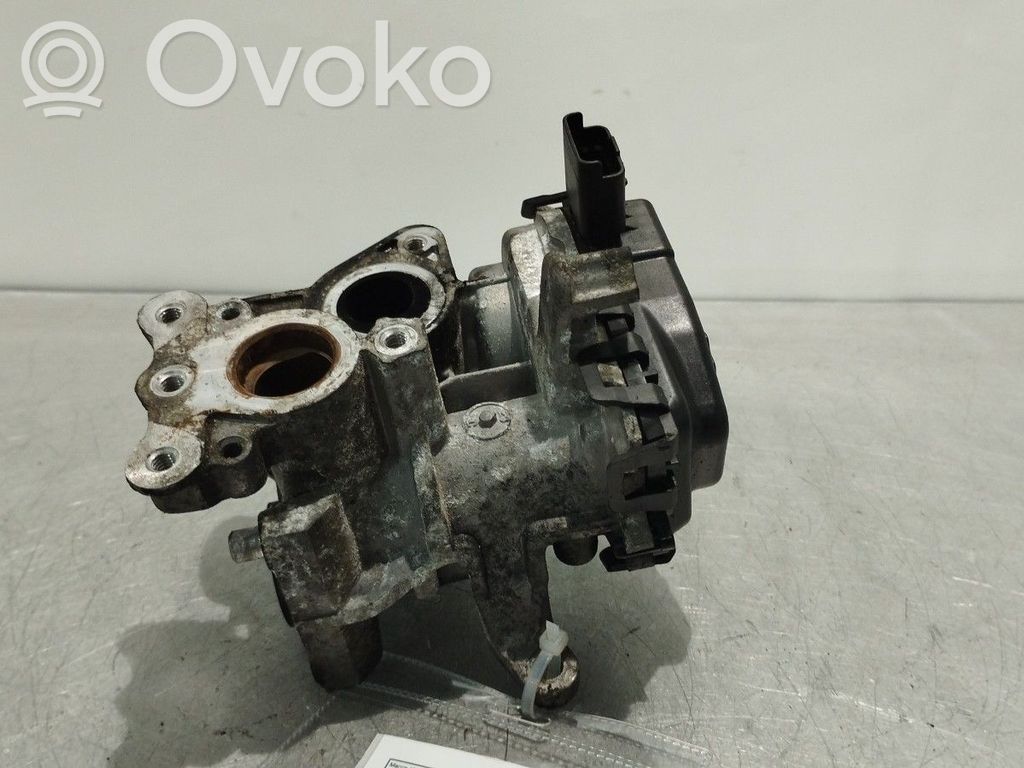 Citroen DS5 Valvola EGR