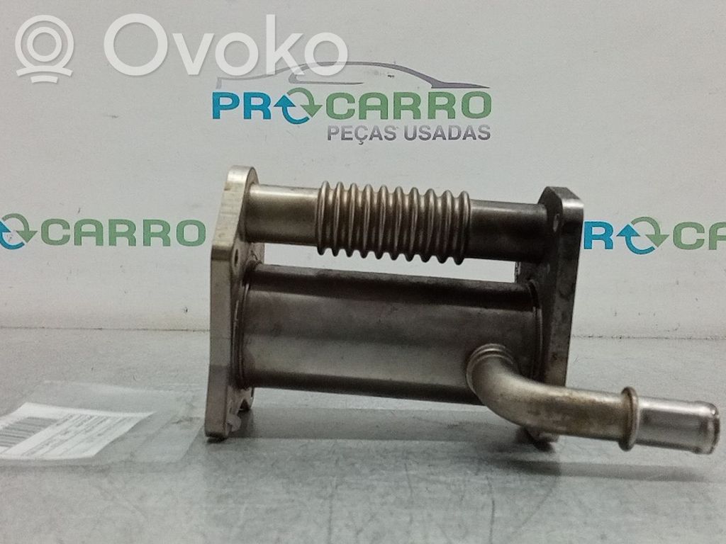 Refroidisseur de vanne EGR   147356133R