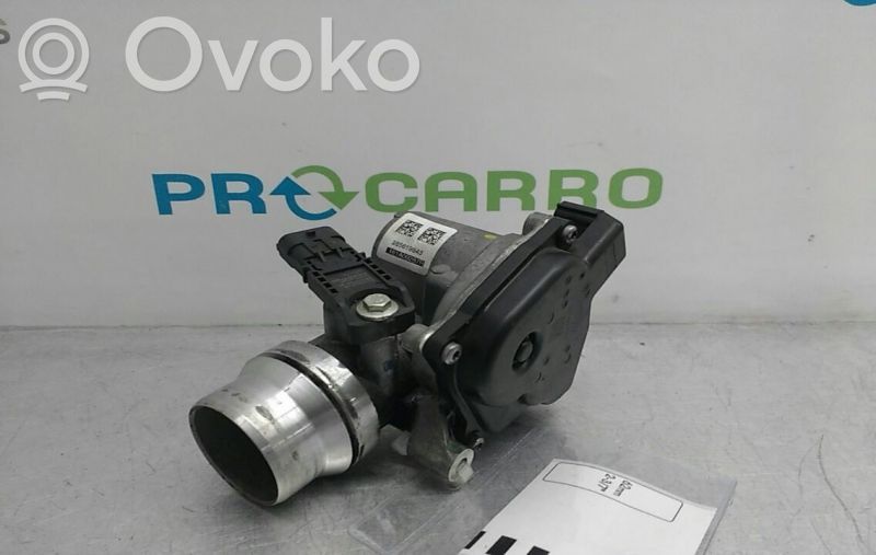 Elektrische Drosselklappe   161A09287R,285619543