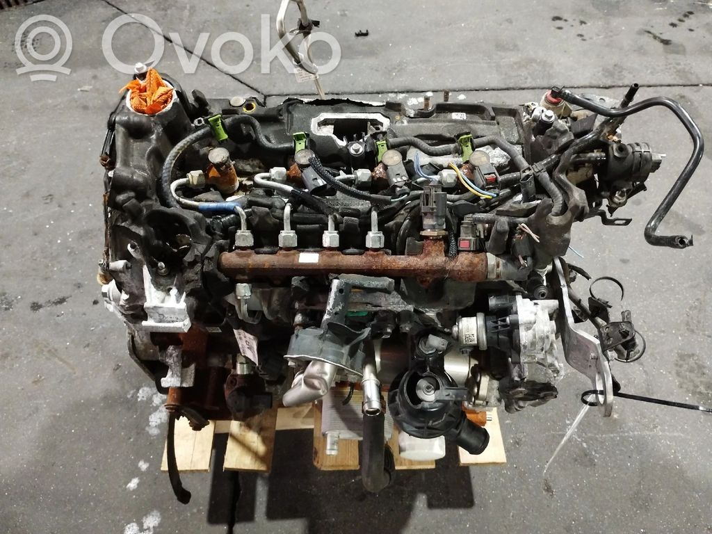 Engine   N0HA