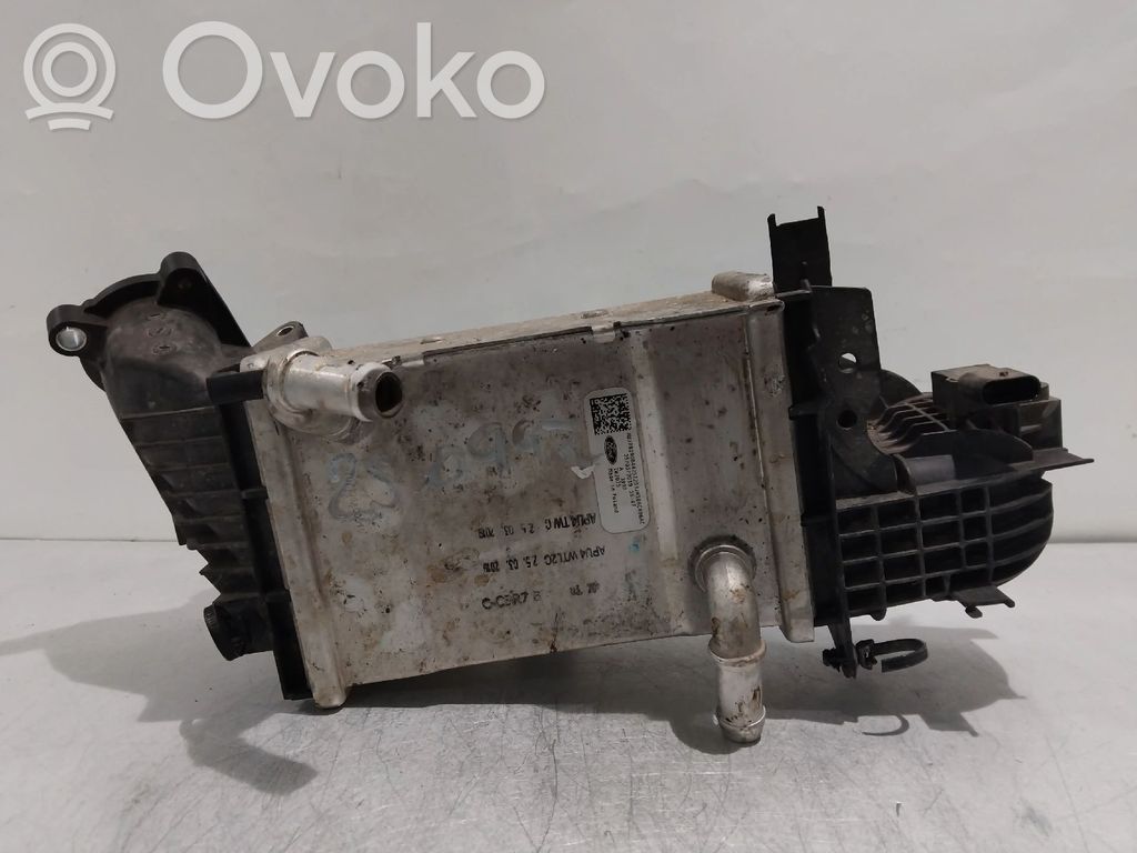 Ford Focus Radiatore intercooler