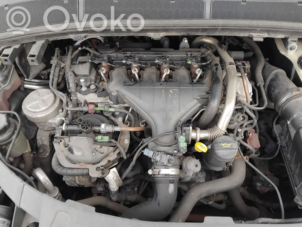 Motor   QXWC