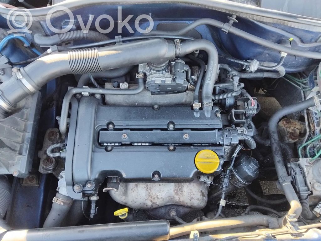 Motor   Z12XEP