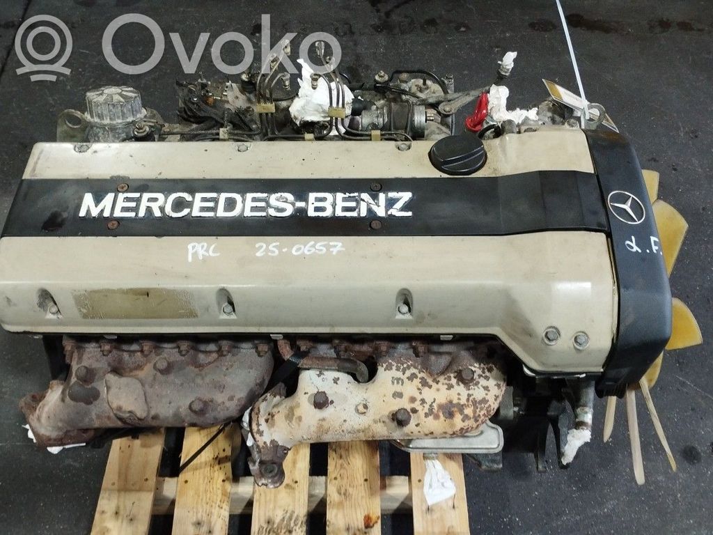 Mercedes-Benz E W124 Motor 