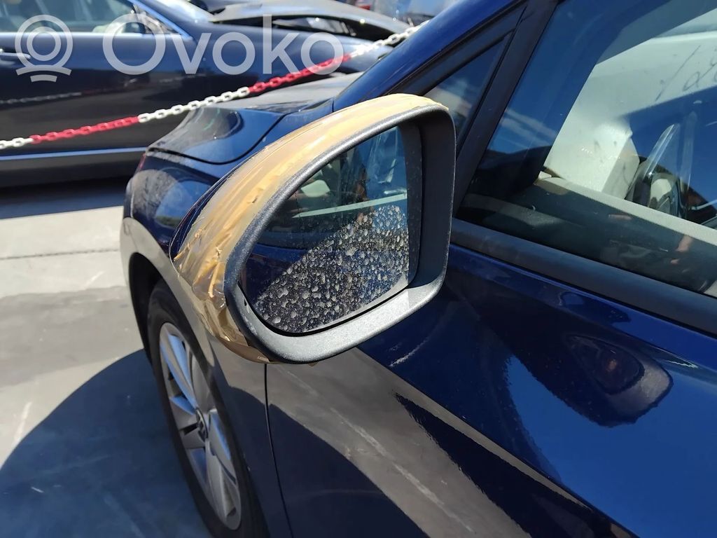 Volkswagen Golf VIII Oglindă electrică ușă față 