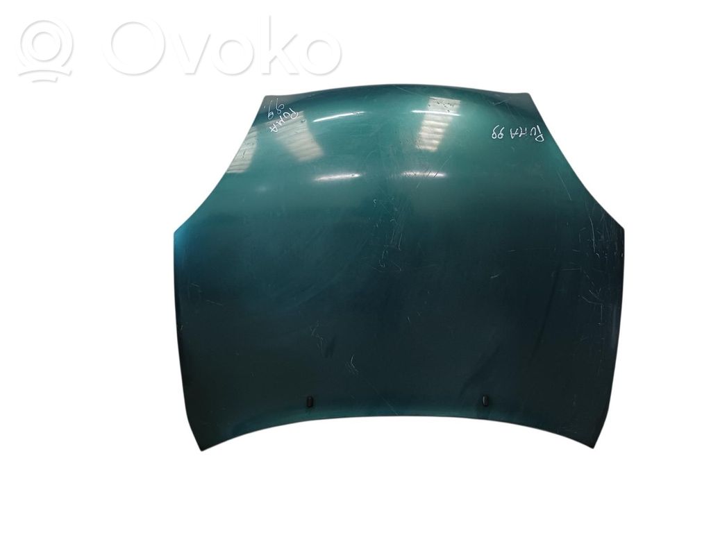 Engine bonnet/hood   1038113,1038113