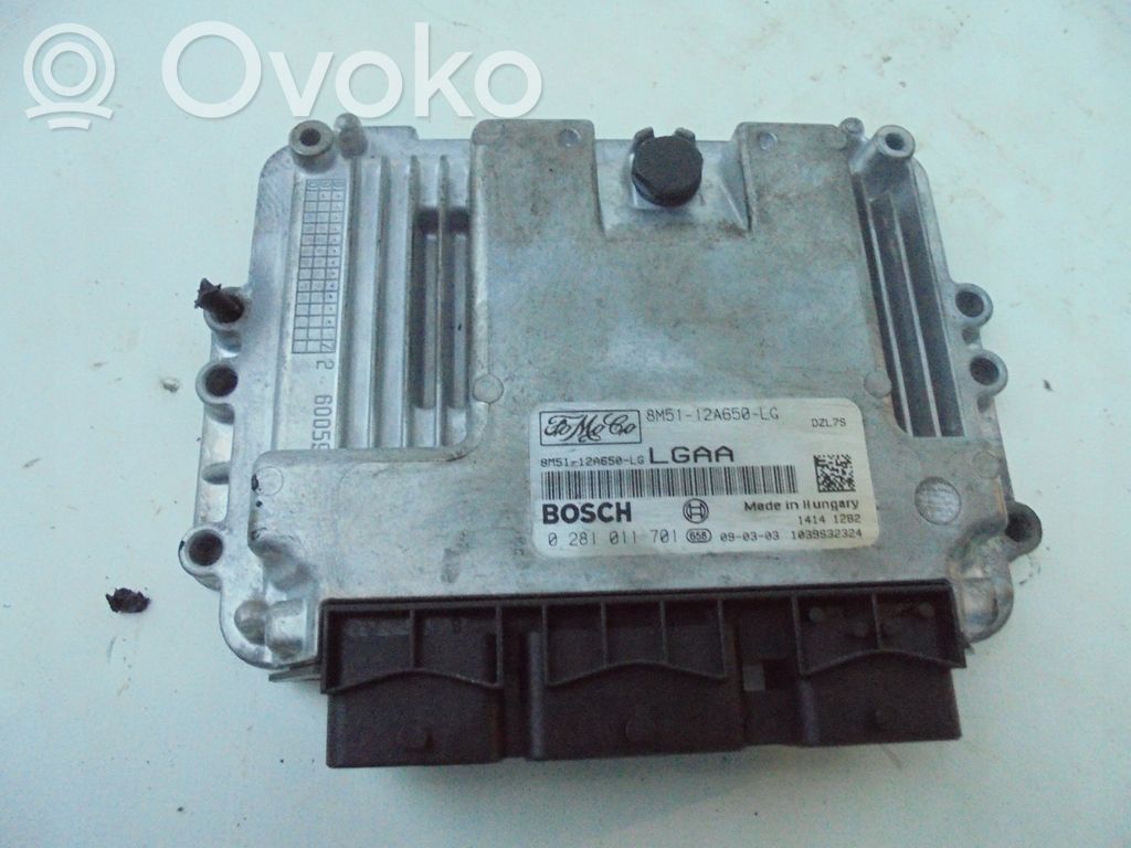 Variklio valdymo blokas   12A650