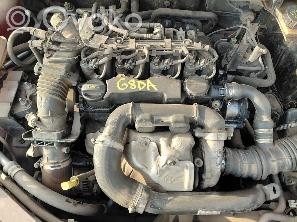 Engine   G8DA