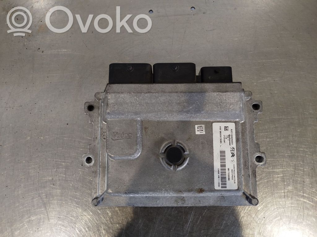 Engine control unit/module   9817335080