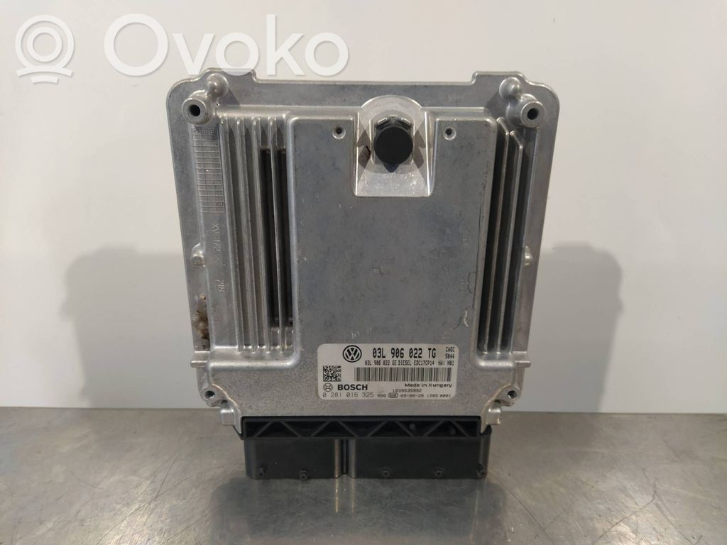 Seat Exeo (3R) Unidad de control/módulo del motor 