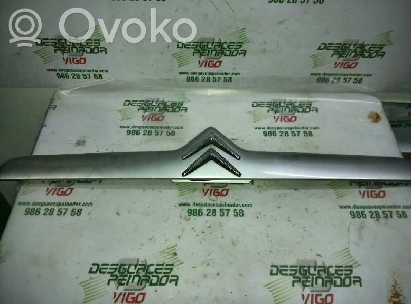 Citroen Xsara Apdaila galinio dangčio 