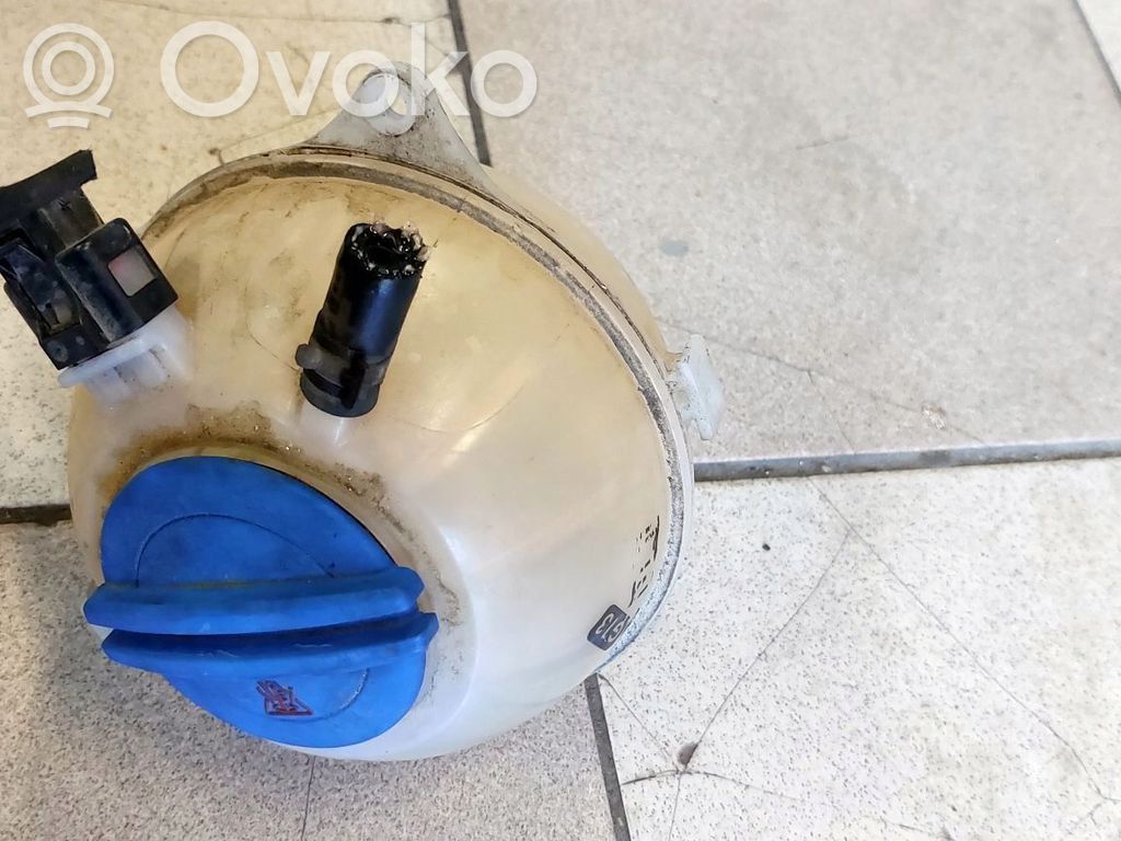 Skoda Fabia Mk3 (NJ) Aušinimo skysčio išsiplėtimo bakelis 
