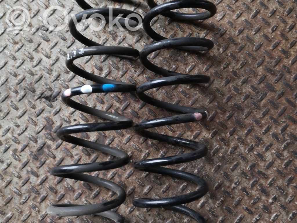 Rear coil spring