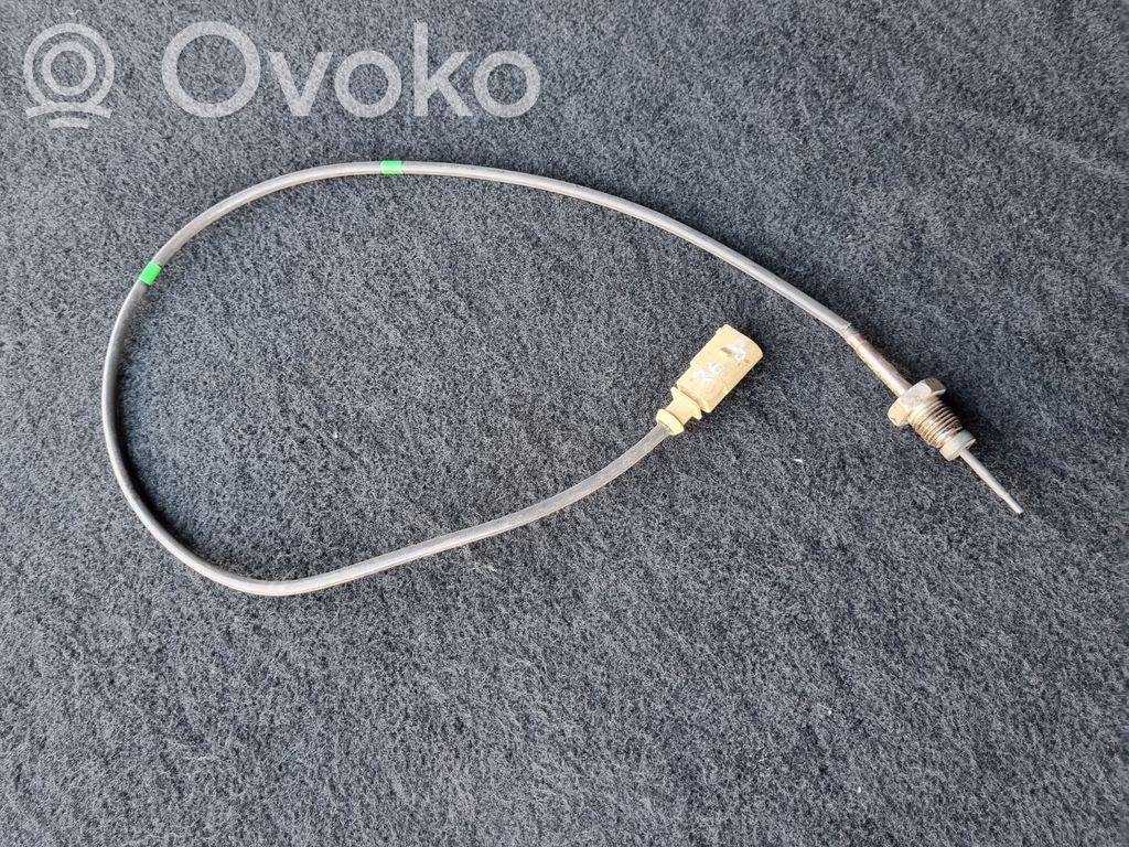 Skoda Yeti (5L) Exhaust gas temperature sensor 