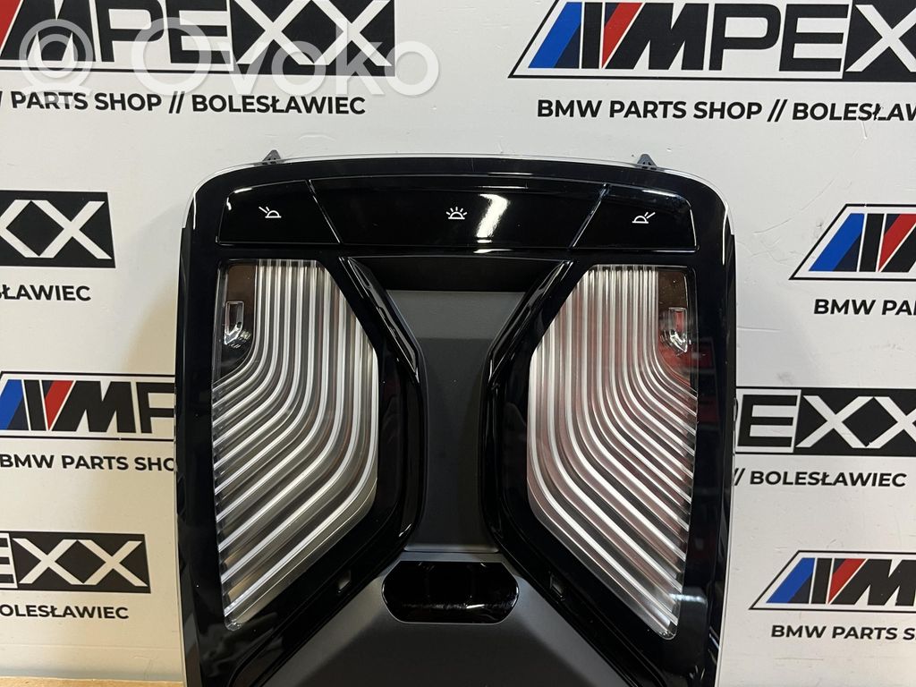 BMW X3 G01 Headlining lighting console trim 