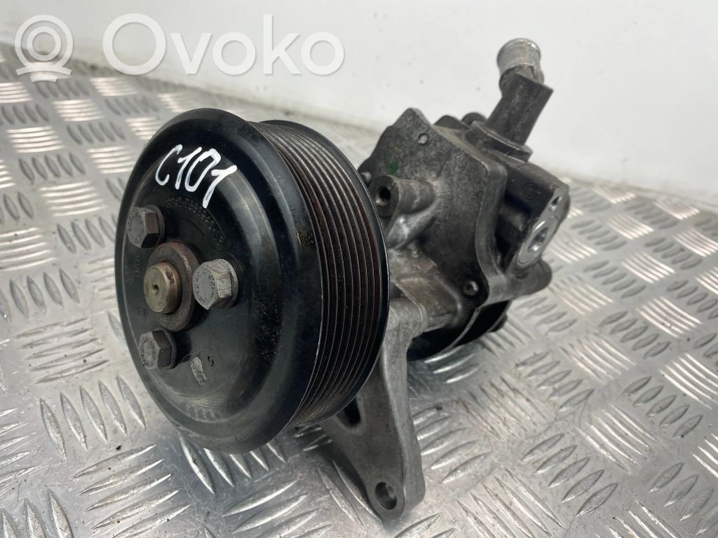 Power steering pump   679435001,5003209,1E41