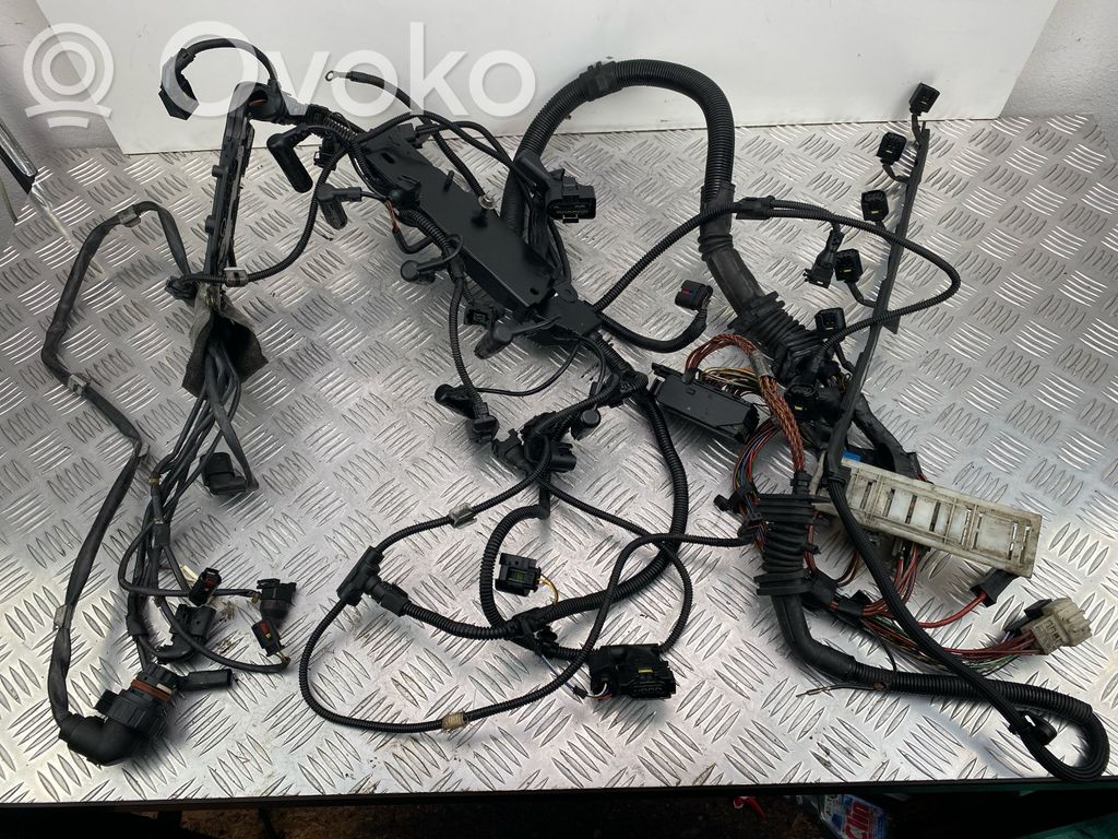 Engine installation wiring loom   7802264,738010213,7799667,779966204,780368104