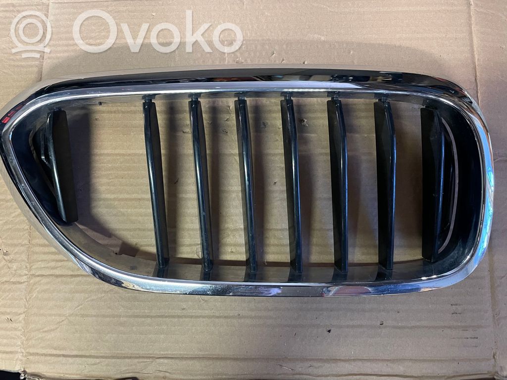 BMW 5 G30 G31 G38 Front grill 