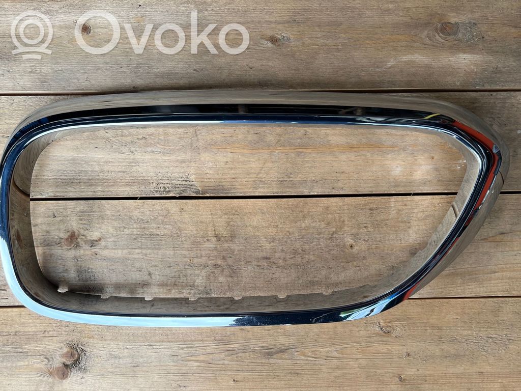 BMW 5 G30 G31 G38 Front bumper upper radiator grill 