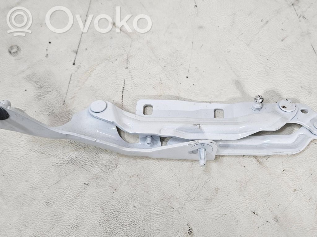 Tesla Model 3 Tailgate/trunk/boot hinge 