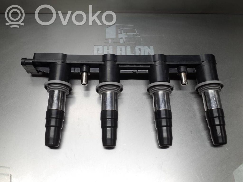 High voltage ignition coil   E2010041172,ZS571