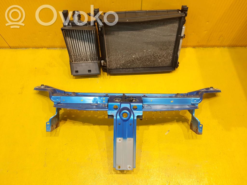 Radiator set   214818009R,31032017