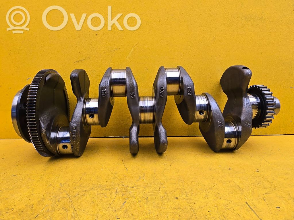 Volkswagen Tiguan Alkūninis velenas 