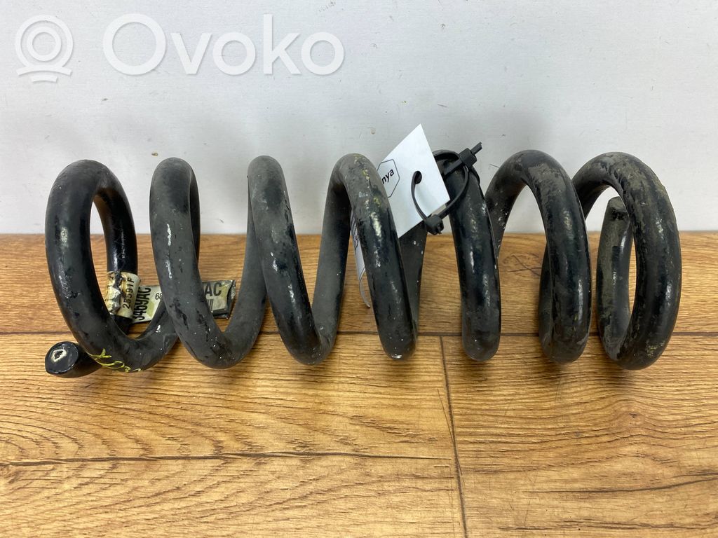 Dodge Charger Rear coil spring 