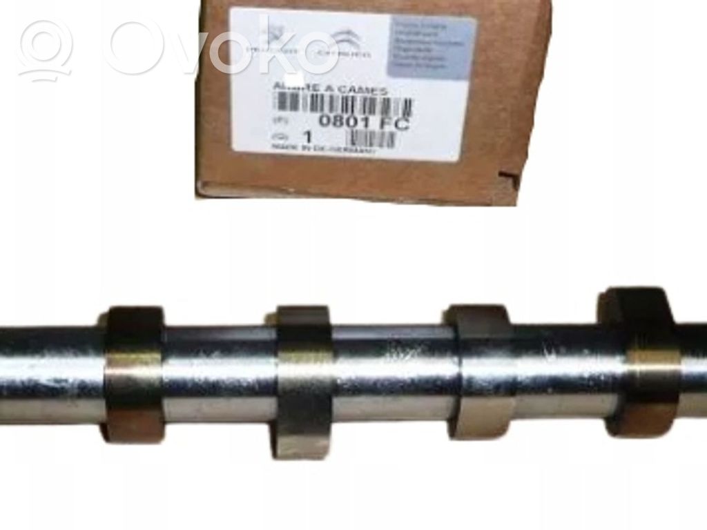Sadales vārpsta   0801FC