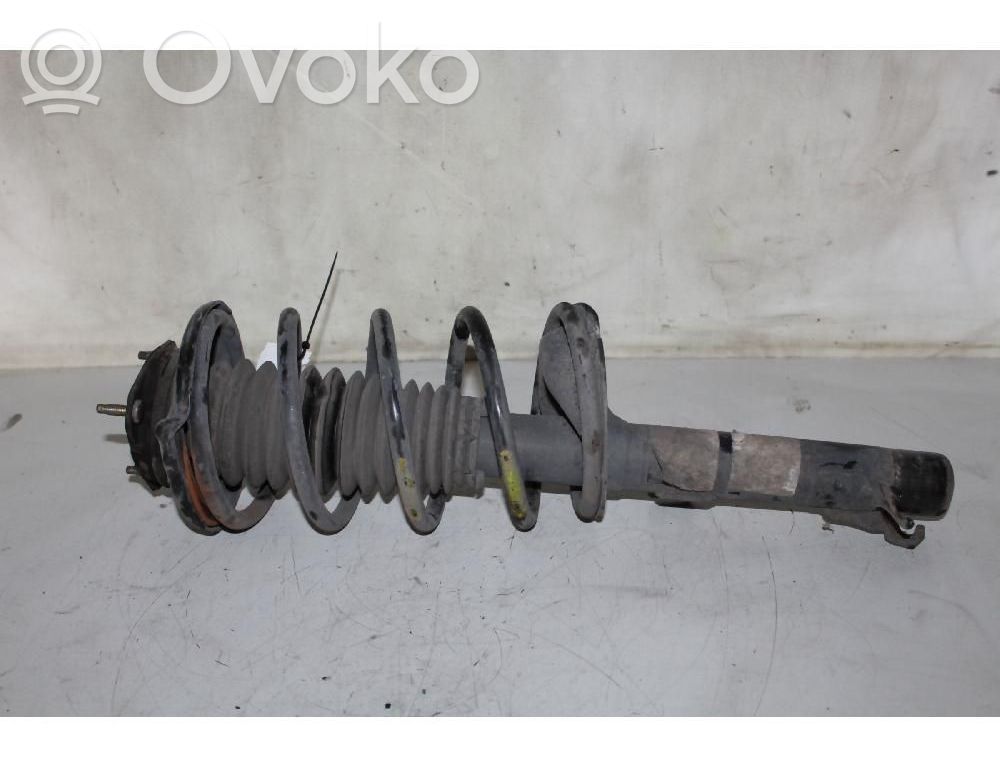 Amortiguador delantero   1069138
