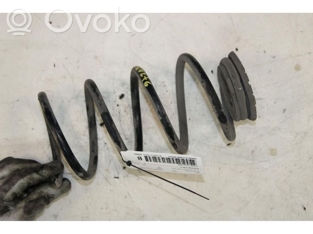 Rear coil spring