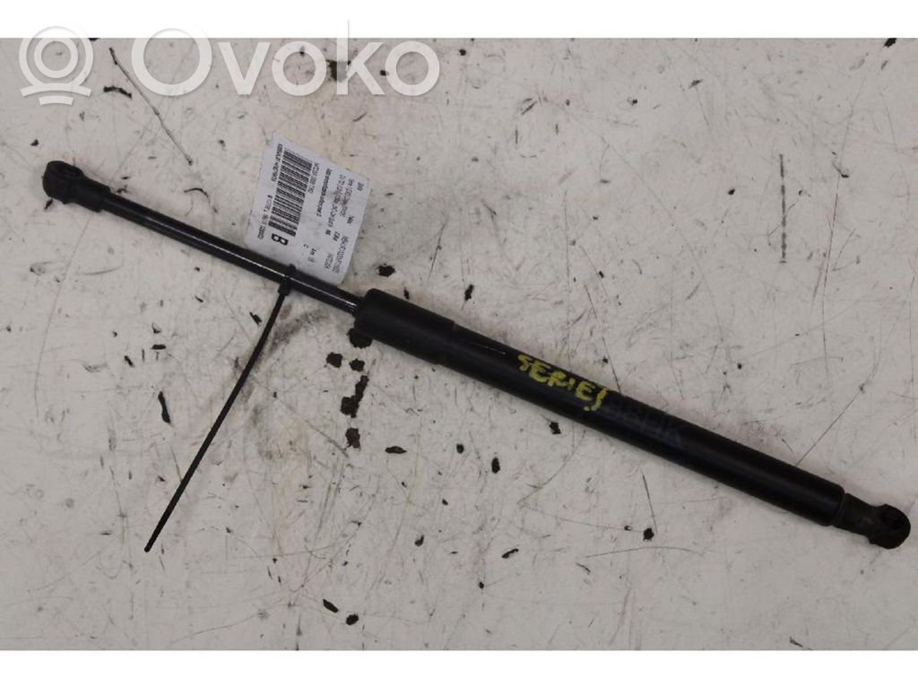 Front bonnet/hood damper/strut