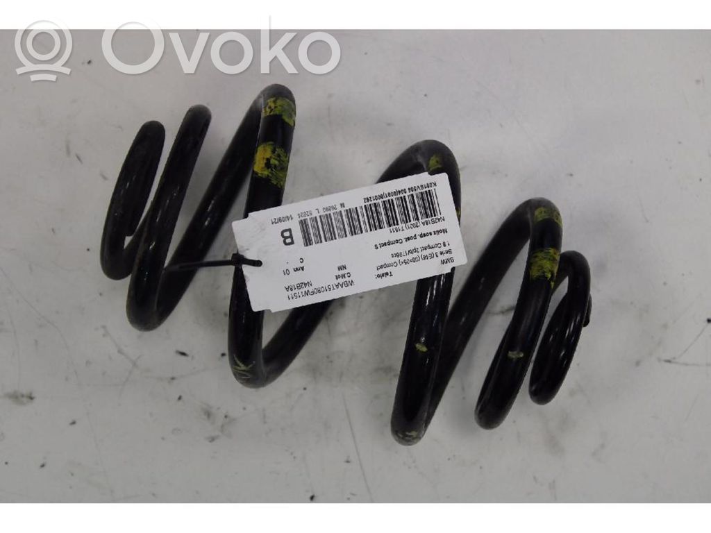 Rear coil spring
