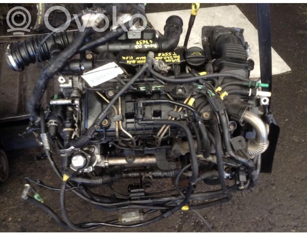 Motor   G8DA