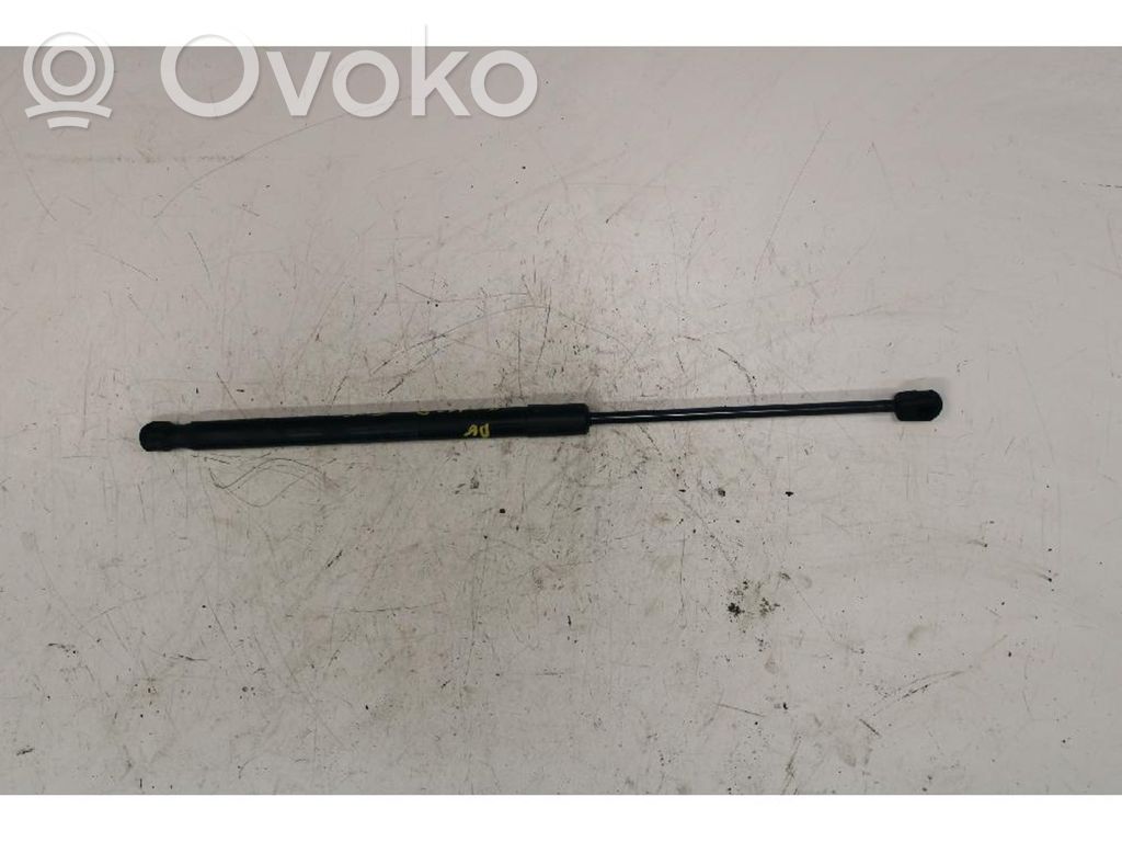 Tailgate/trunk strut/damper