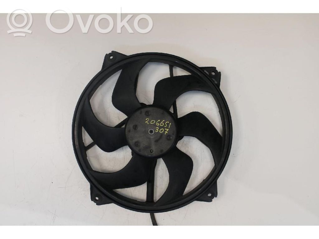 Peugeot 307 Ventilatore di raffreddamento elettrico del radiatore